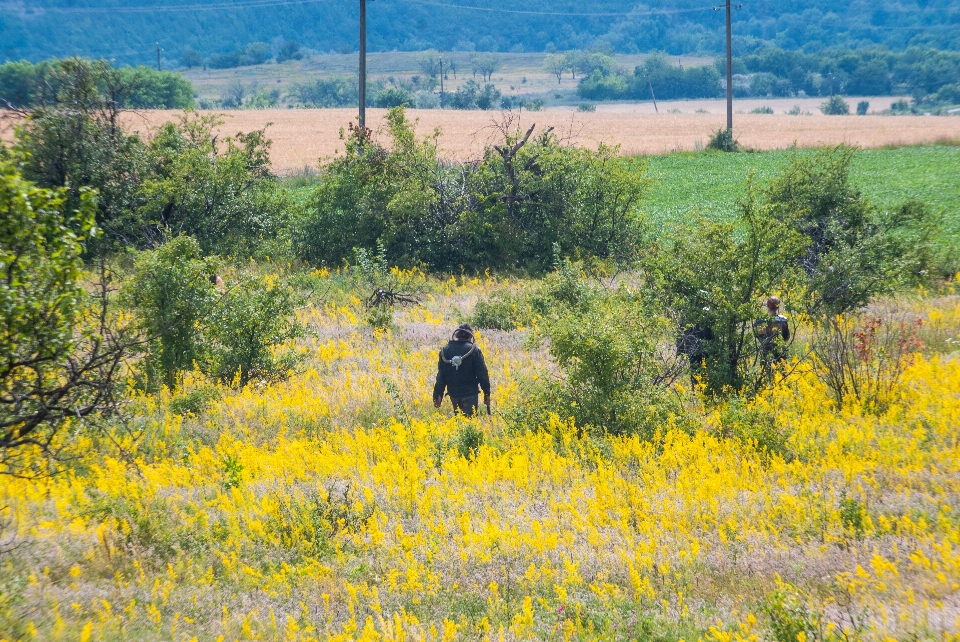 Paisagem campos vila ucrânia