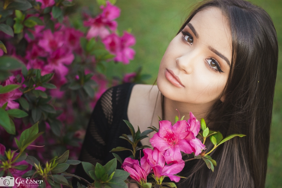 People flower pink plant