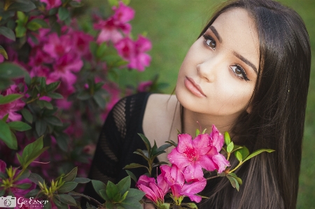 People flower pink plant Photo