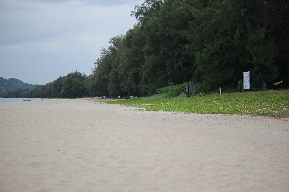 Spiaggia corpo d'acqua
 acqua costa