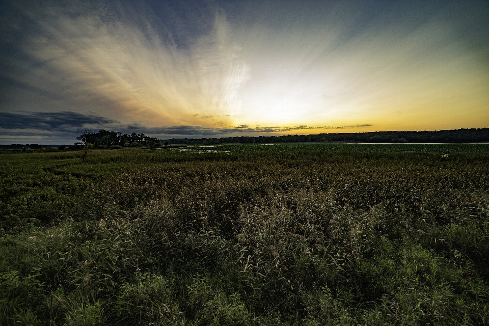 Sunset light landscape landscapes