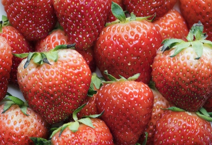 Background berry closeup delicious Photo