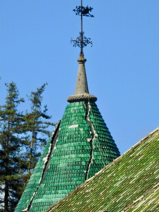 Cielo punto di riferimento albero spire