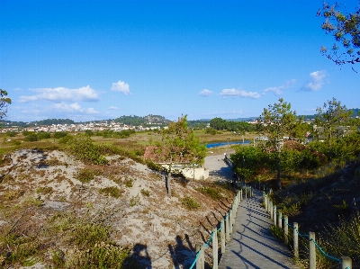 Nature sky reserve tree Photo