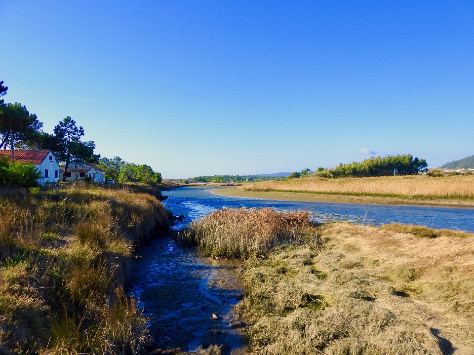 Natura woda arteria wodna
 niebo