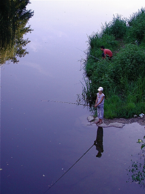 Natur wasser betrachtung grün