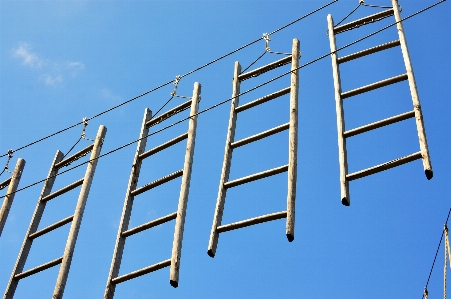 Adventure park climbing rope Photo