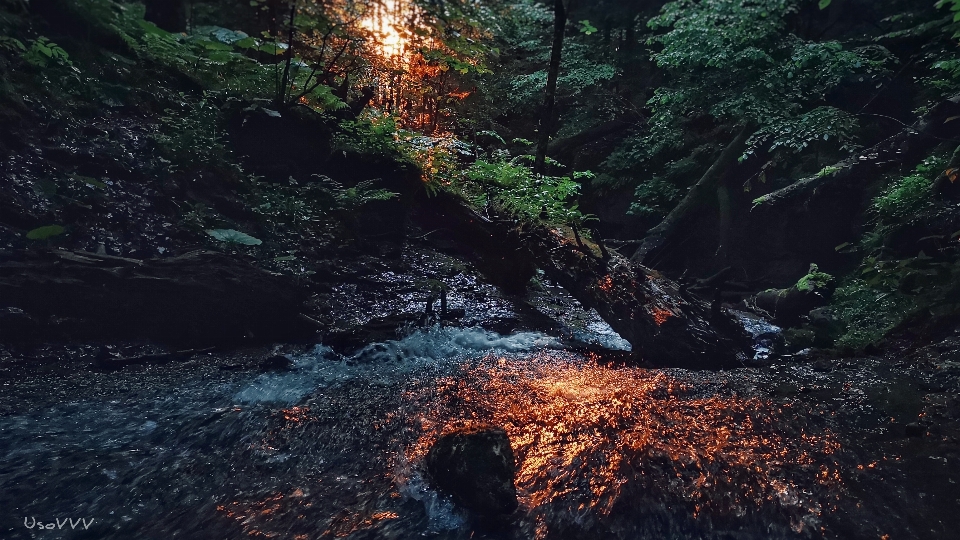 Mountain river nature water tree