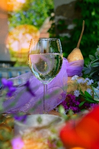 Wine white glass outdoor Photo