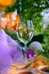 Wine white glass outdoor Photo