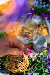 Wine white glass outdoor Photo