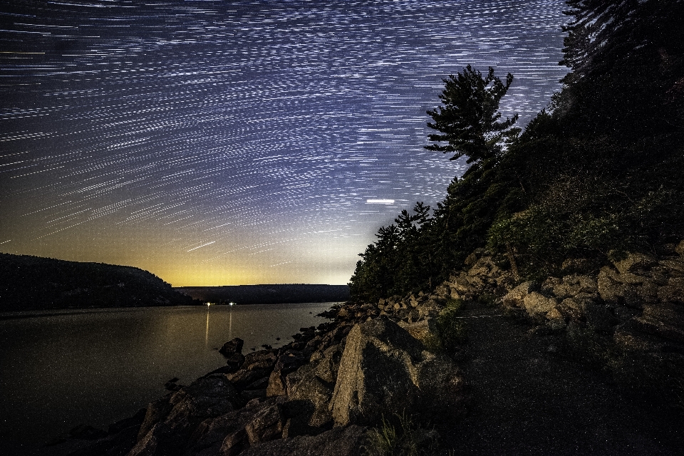 Senderos de estrellas
 cielo nocturno oscuridad
 árboles