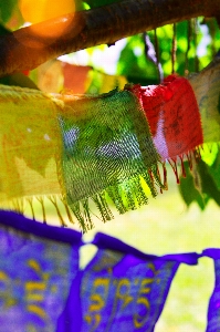 Prayer flags flag culture Photo