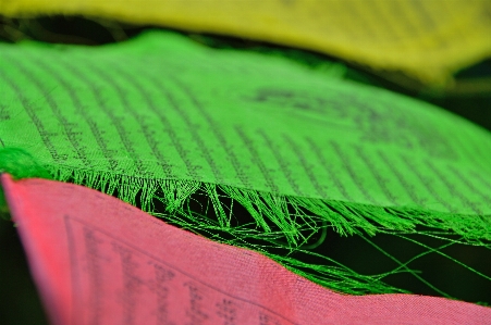 Prayer flags flag culture Photo