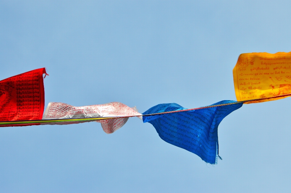 Prayer flags flag culture