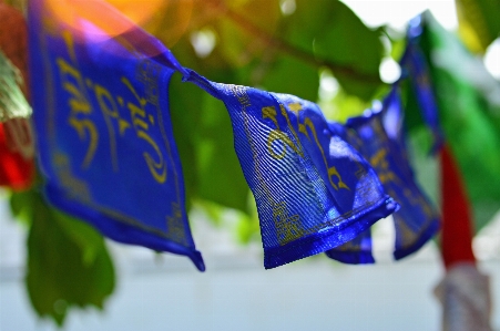 Prayer flags flag culture Photo