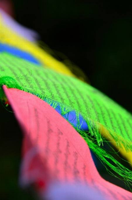 Prayer flags flag culture