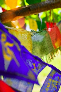 Prayer flags flag culture Photo