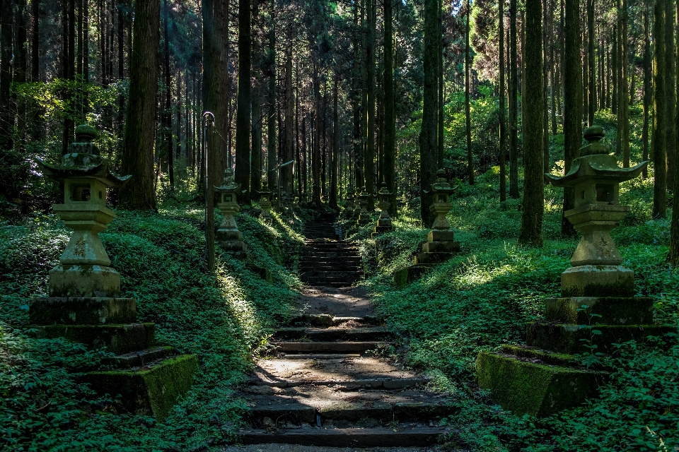 Japan shrine green stairs