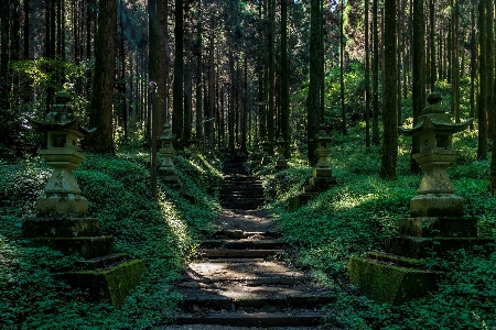 Japan shrine green stairs Photo