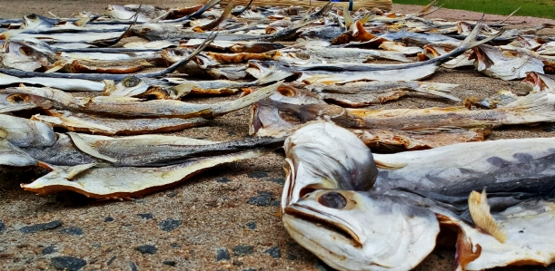 Photo Poisson sec chennai
 pêcheur
