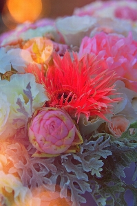 Wedding table decoration setting Photo