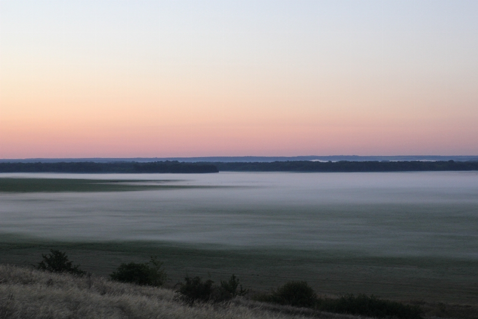 Nebel landschaft bäume sonnenaufgang