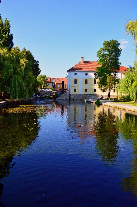 мельница пруд озеро вода