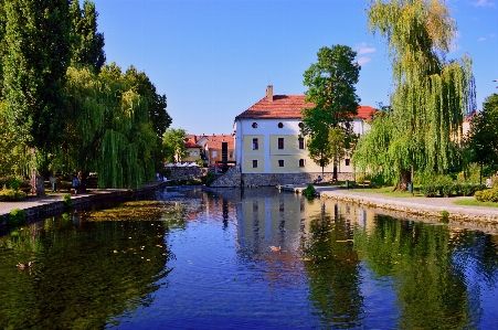 Mill pond lake water Photo