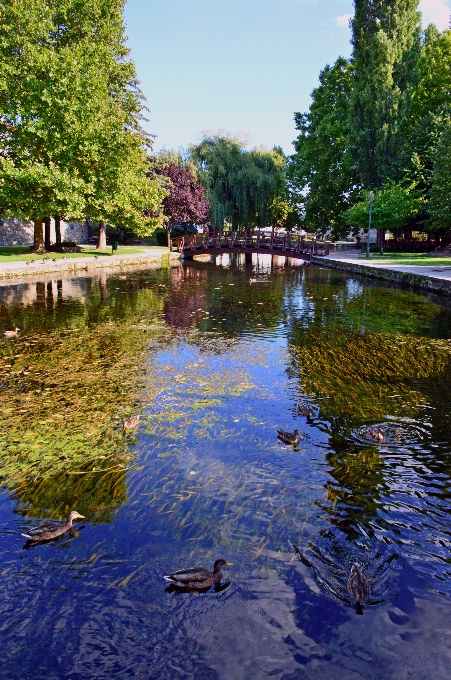 Mill pond lake water