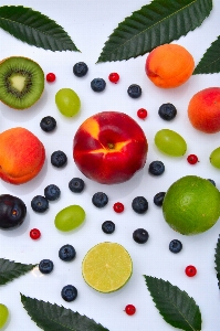 Frucht früchte sommer essen Foto