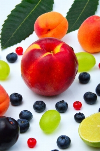 Frucht früchte sommer essen Foto