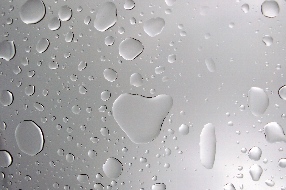 Water drops background drop