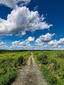 Foto Céu nuvem estrada pastagem
