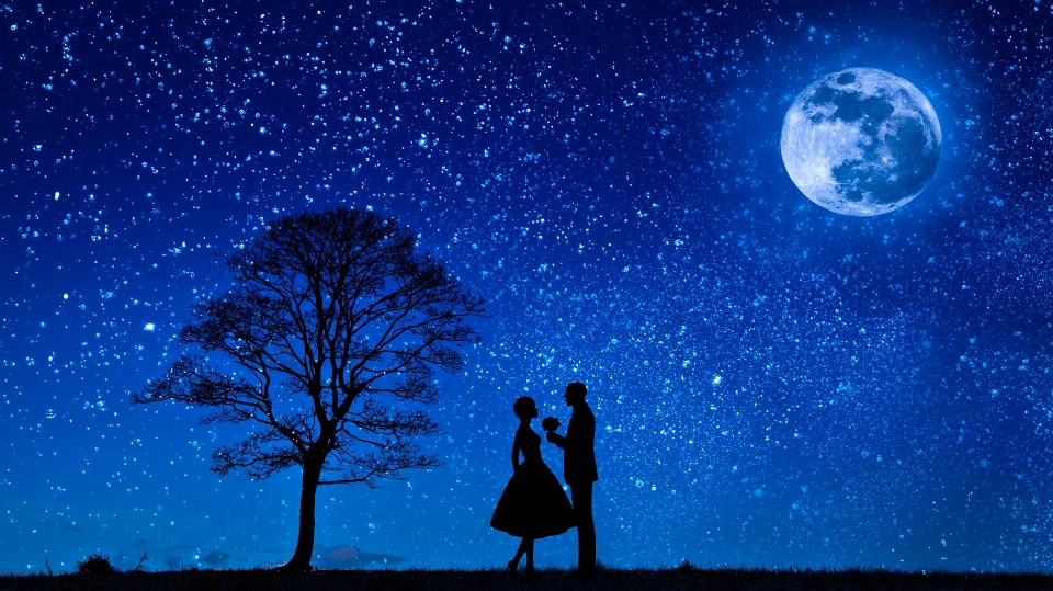 Lovers moon love couple