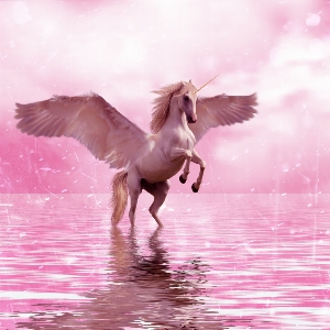 Horse unicorn water design Photo