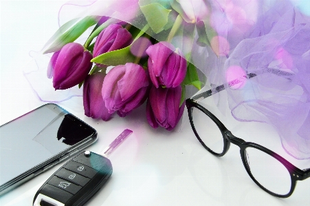 Tulips purple background bouquet Photo