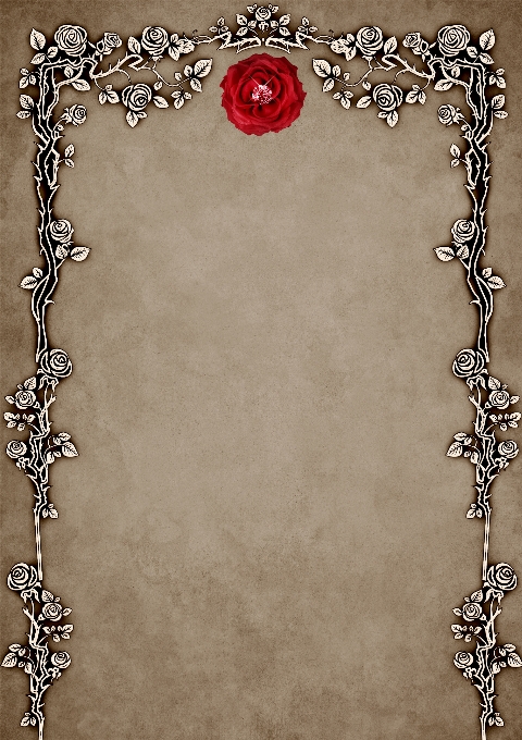 Rose frame diamond background