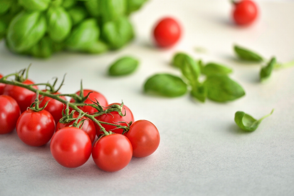 Tomates
 albahaca alimento tomate