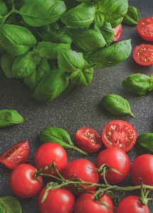 Tomatoes basil food tomato Photo