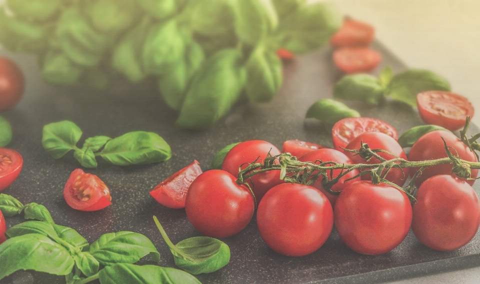 Tomaten
 basilikum essen tomate