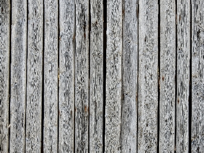 Background wooden old wood Photo