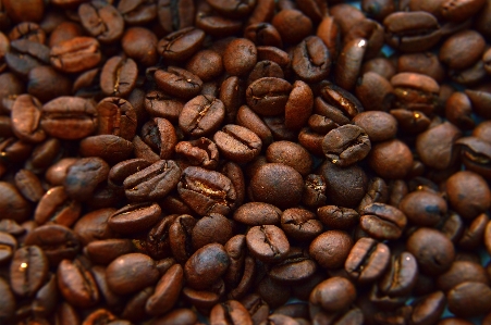 Coffee beans background texture Photo