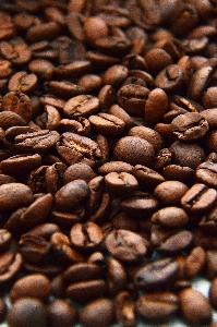 Coffee beans background texture Photo