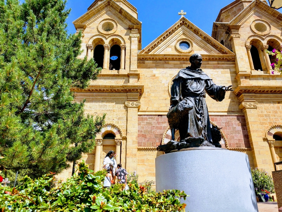 Catedral basílica smo francisco
