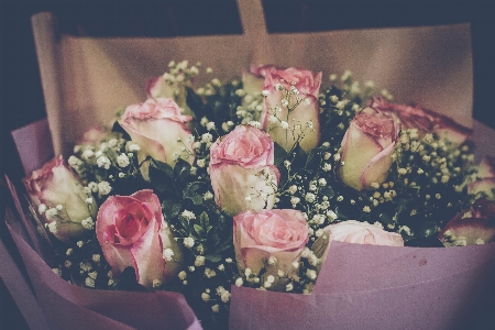 Flowers flower arranging pink Photo