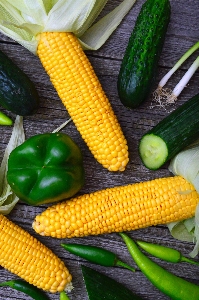 Vegetables summer food vegetable Photo