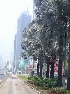 Foto Bepergian wisatawan jakarta
 indonesia