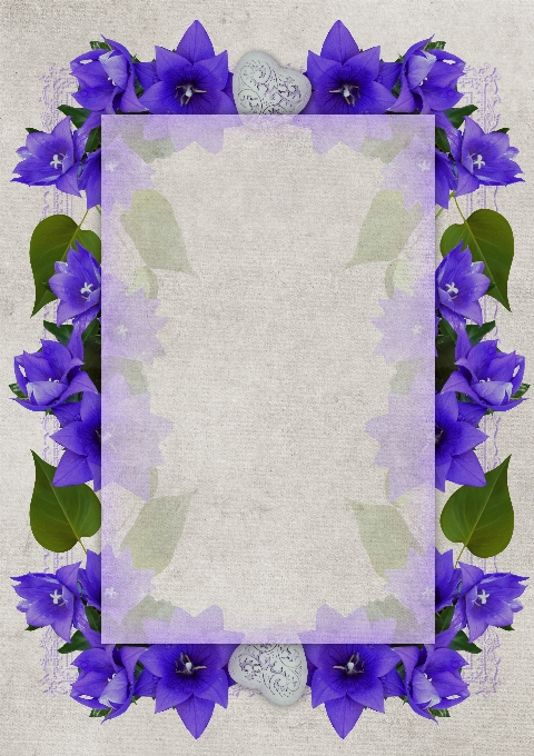 Flowers frame design text space