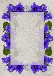 Flowers frame design text space Photo